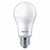 lightbulb