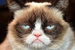 Grumpy Cat PDF
