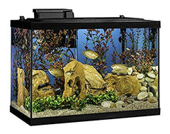 Fish tank 20 lbs